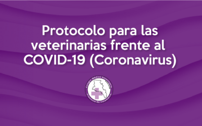 Coronavirus (COVID-19): Recomendaciones Importantes
