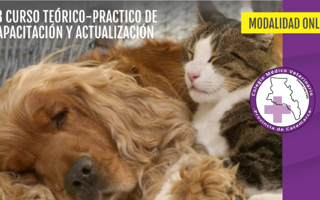 13er Curso sobre Dermatología Veterinaria en la Clínica Diaria 2020 – Modalidad ONLINE